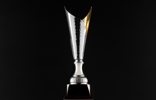 view-silver-cup-trophy 1